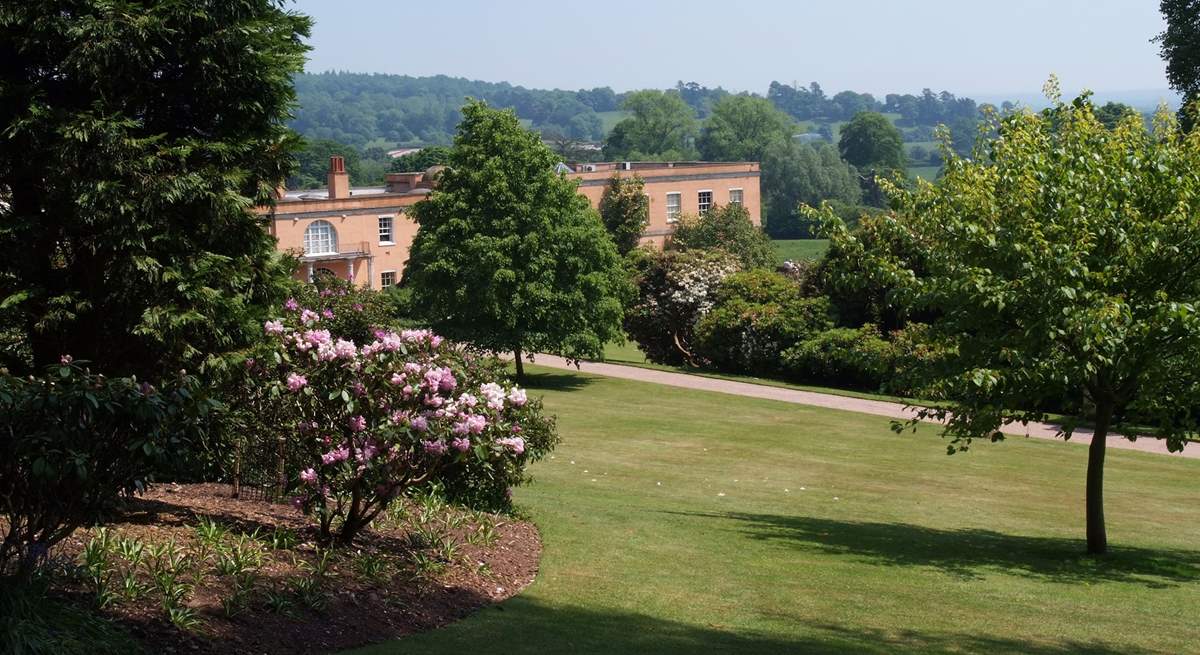 Killerton House is the nearest National Trust property, with lovely gardens and the 800 acre Ashclyst Forest to explore.