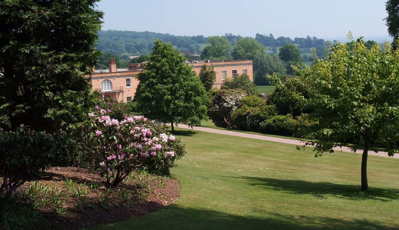 Killerton House is the nearest National Trust property, with lovely gardens and the 800 acre Ashclyst Forest to explore.