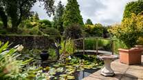 The pond and wildlife within are breathtaking.