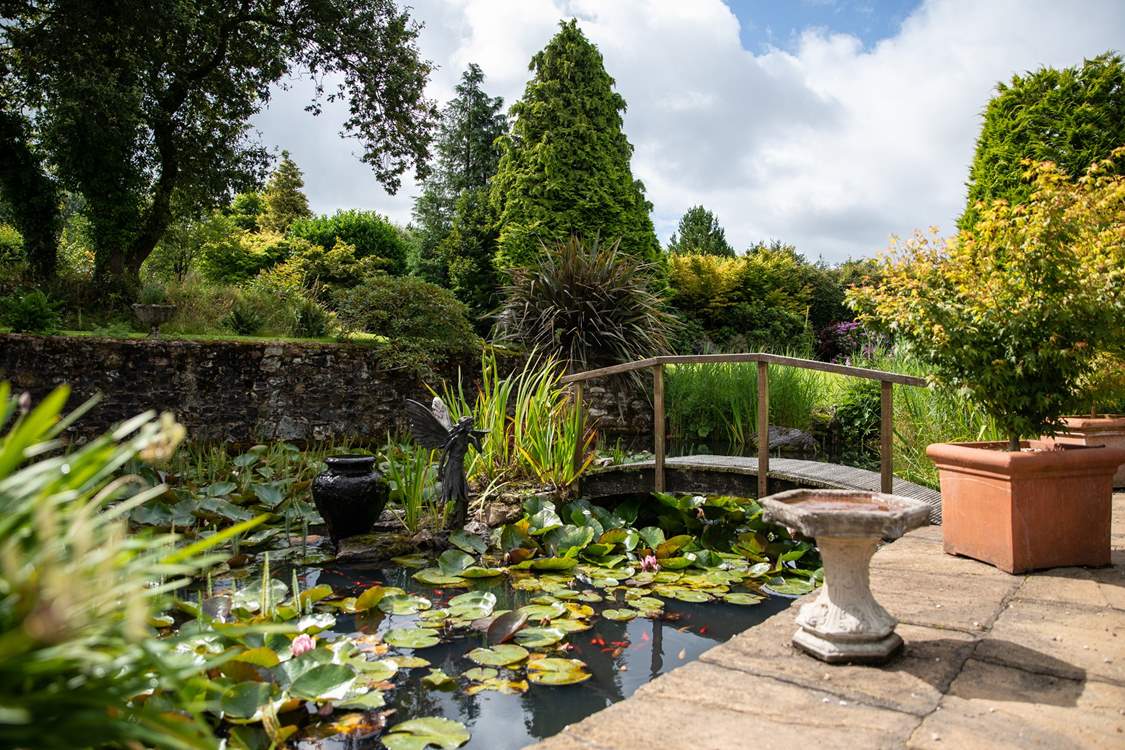 The pond and wildlife within are breathtaking.