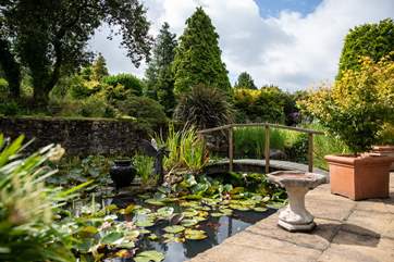 The pond and wildlife within are breathtaking.