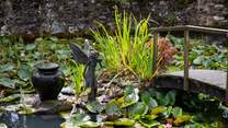 An abundance of wildlife and activity can be enjoyed in this beautiful spot.