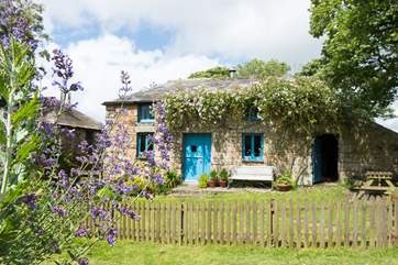 The front garden is fenced - to the left of the cottage you can see the Owner's studio.