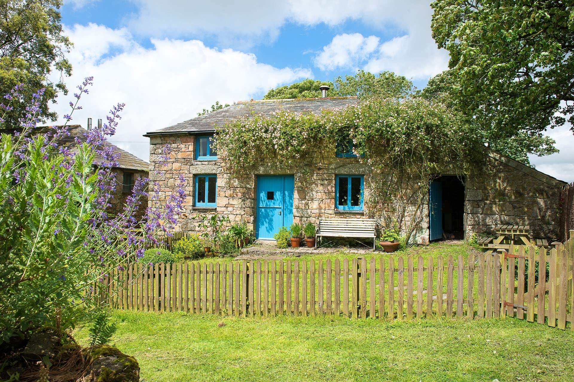 Broad haven discount dog friendly cottages