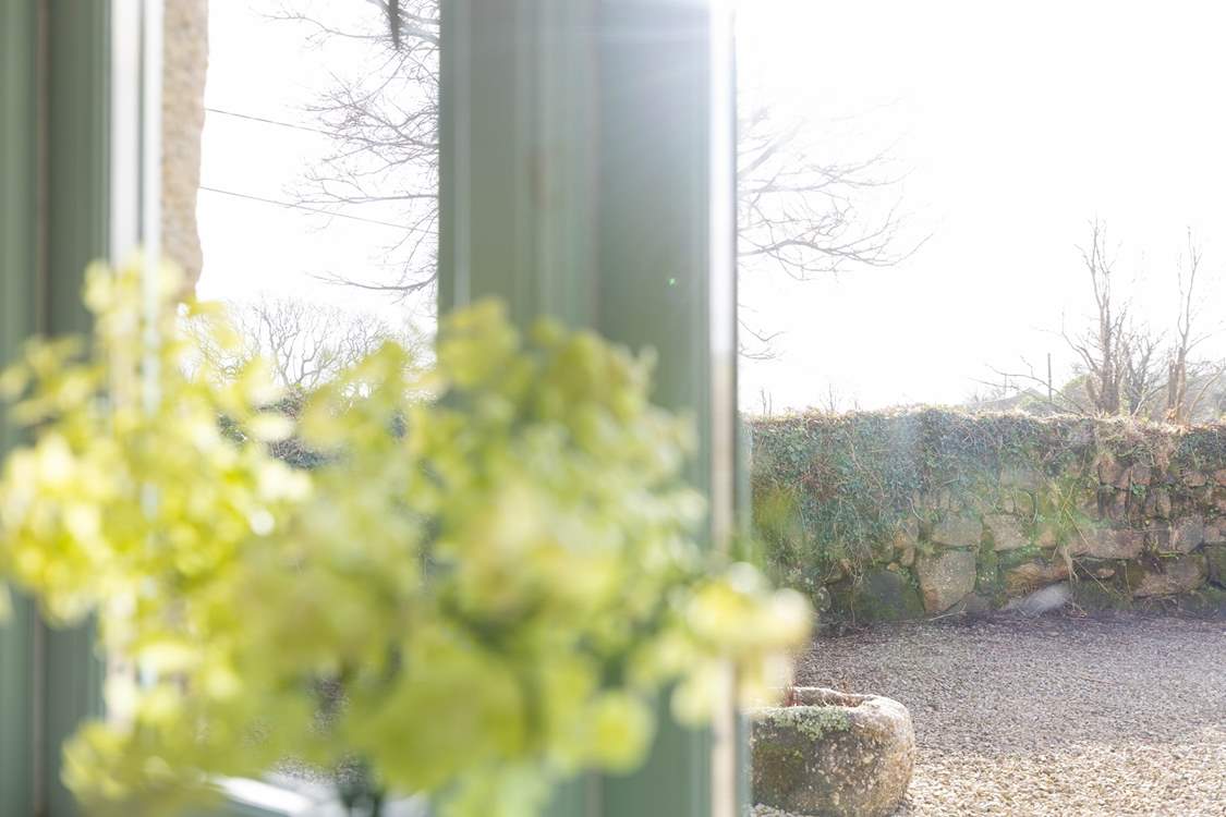 The enclosed private courtyard appreciated from the bedroom.
