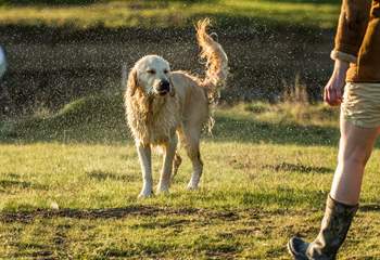 Bring your pooch to explore the rugged scenery and dramatic coastline of west Cornwall.