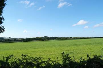 The wonderful far reaching view from the garden across the fields behind the cottage.