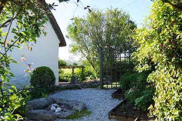 Looking from the gravelled side garden back towards the terrace.