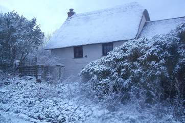 Even prettier in the snow!