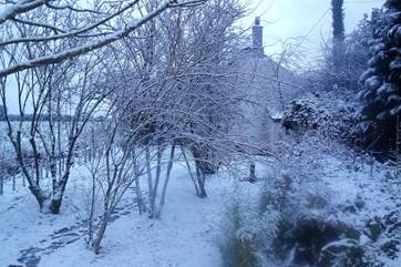 The garden under snow is a winter wonderland.