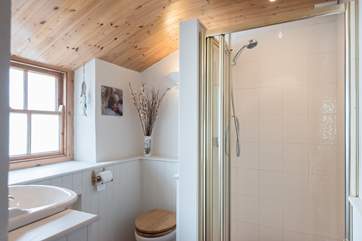 The ground floor shower-room.