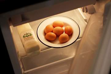 You have your own larder fridge situated at the back of the tent along with an electric kettle for convenience!