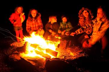 Toasting marshmallows on the fire-pit.