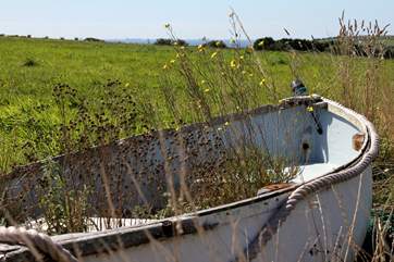 Help yourselves to herbs from the 'Herb Boat'!