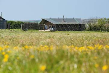 Hobie sits proud in the seven acre meadow with its sheltered barbecue area set off to the side.