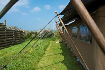 Hobie is sheltered on one side by a fabulous wooden windbreak.