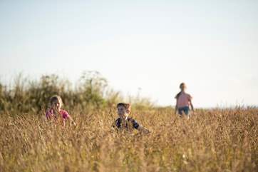 There's so much space for little legs to run ragged through the fields.