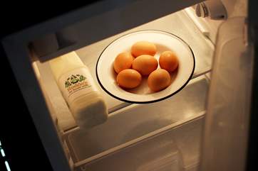 You have your own larder fridge situated at the back of the tent, with a kettle for convenience.