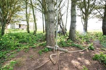 The children will entertain themselves for hours playing on the rope swing.