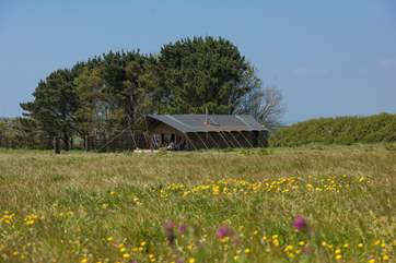 This is a lovely setting, with a sheltered barbecue area to the left.
