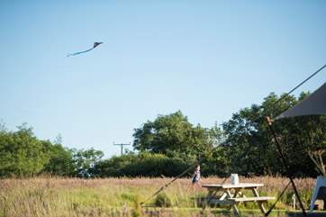 Surrounded by wildflower meadows, enjoy the space and greenery.