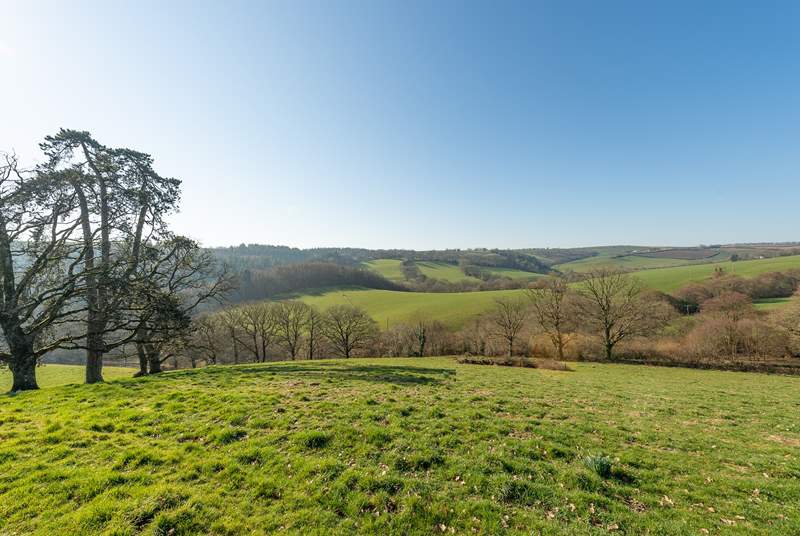 The setting is in the Devon foothills, close to the Exmoor National Park.