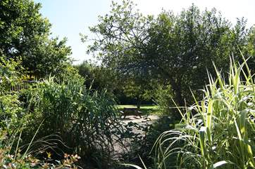 Another lovely spot to enjoy the scenery...