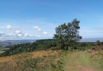 One of the fabulous walks in the Quantock Hills. You can see the Bristol Channel and Exmoor in this photograph.