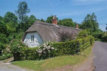 This is the setting for the cottage at the heart of the conservation village of Holford, right on the edge of the Quantock Hills.