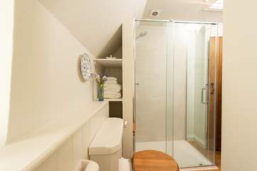 Another shot of the fabulous shower-room.
