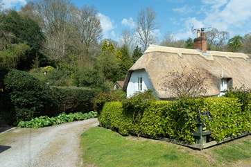 This is the setting for the cottage at the heart of the conservation village of Holford, right on the edge of the Quantock Hills.