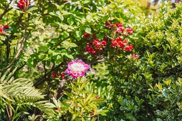 There is so much to look at in this delightful garden.