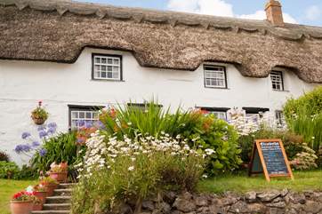 Elizabeth's is worth a visit for her freshly baked cakes to take away.