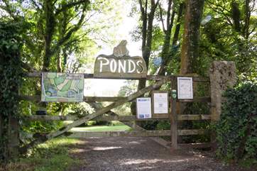 The Roskilly ponds with paths winding around the ponds through the trees is a tranquil spot to spend some time.