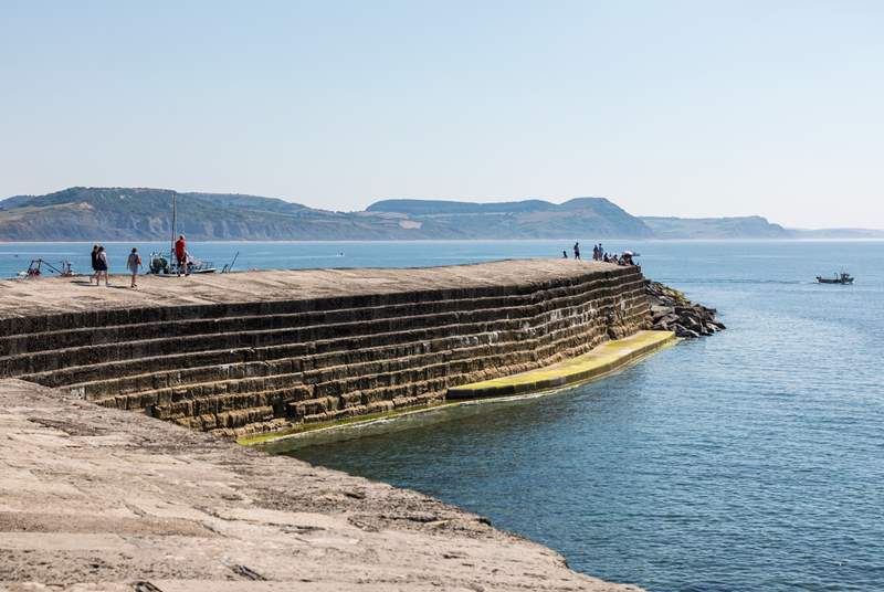 The historic Cobb in Lyme Regis.  Spend a lovely day out in this quaint seaside town, with perhaps a bit of fossiling at low tide!