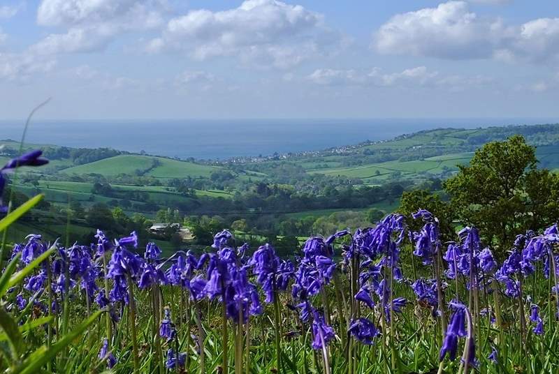 The glorious view from Lambert's Castle to Charmouth, which is just a few miles from Bridport.