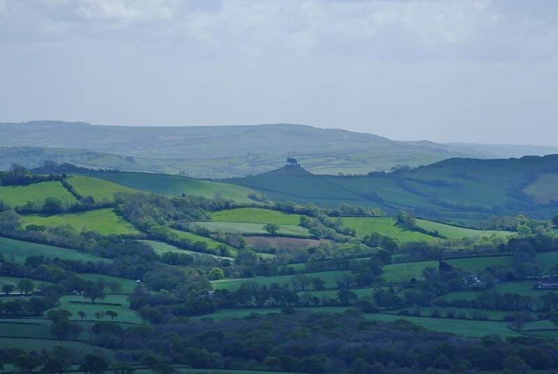 The rolling green hills of Dorset surrounding Bridport.  Colmer's Hill is visible in the middle distance.
