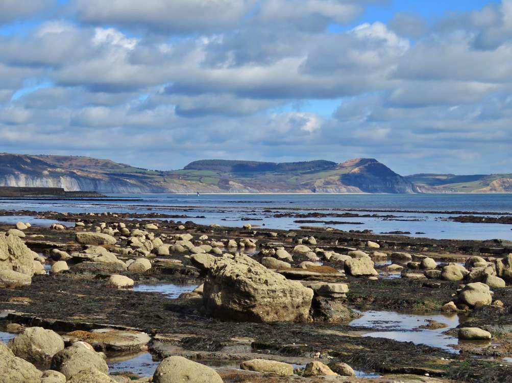 Visit Lyme Regis for fantastic fossil hunting at low tide.  The Golden Cap estate, where you can walk for miles, is perfect for walkers of all ages.