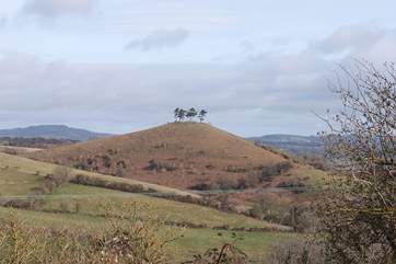 This is another local landmark - just on the outskirts of Bridport. Walk to the top and have a 360 degree view.