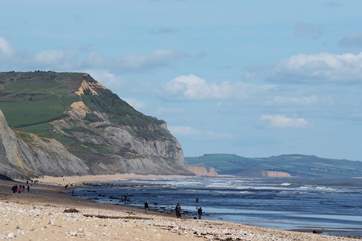 Charmouth beach is a great place for children to search for fossils.