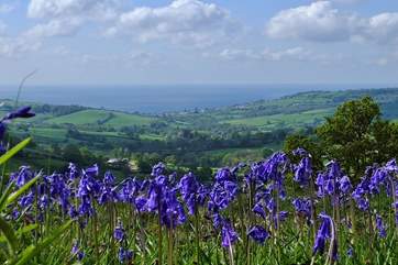 National Trust Lambert's Castle is an undiscovered gem for walks with extraordinary views of the Jurassic Coast (you can see to Portland) and the Dorset countryside.