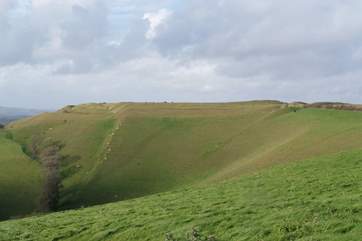 The inland countryside is so beautiful here too. This is Eggardon Hill, one of many Iron Age hill forts in this area.