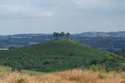 When you spot this iconic hill outside Bridport you will know that you are a stone's throw from the farm.