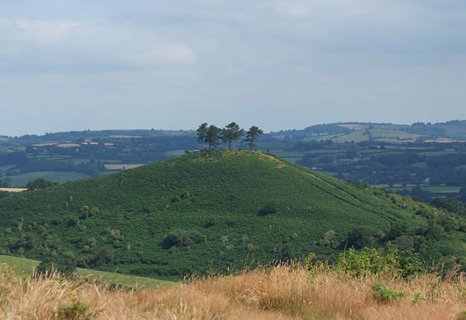 When you spot this iconic hill outside Bridport you will know that you are a stone's throw from the farm.