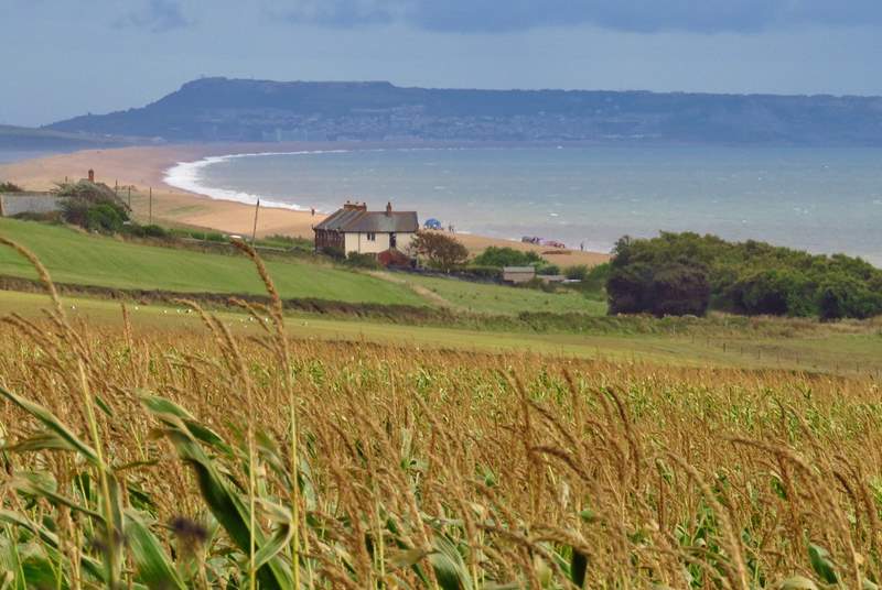 Travel east along the scenic coast road to Weymouth and Portland, with extraordinary views of Chesil beach.