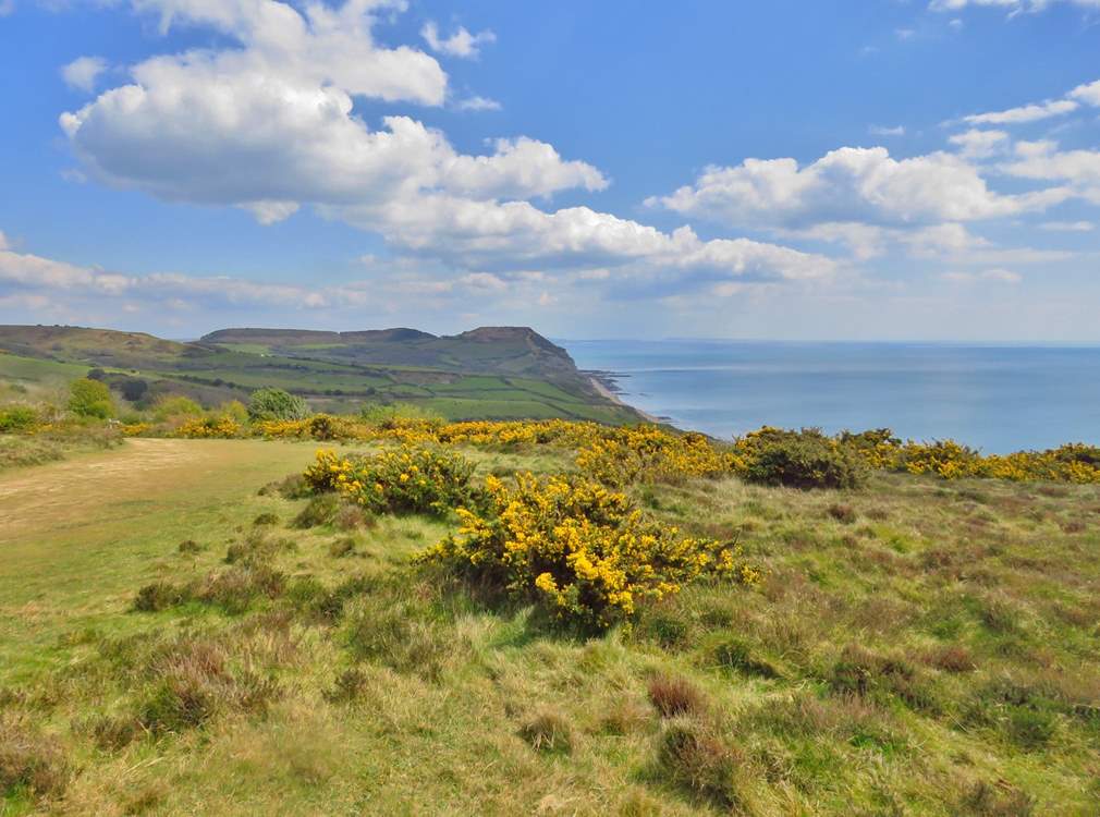 The National Trust Golden Cap estate is very easily accessible from The Dairy.  You can walk for miles, with breathtaking views of the Jurassic Coast.