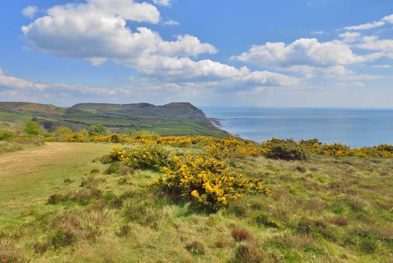 The National Trust Golden Cap estate is very easily accessible from The Dairy.  You can walk for miles, with breathtaking views of the Jurassic Coast.