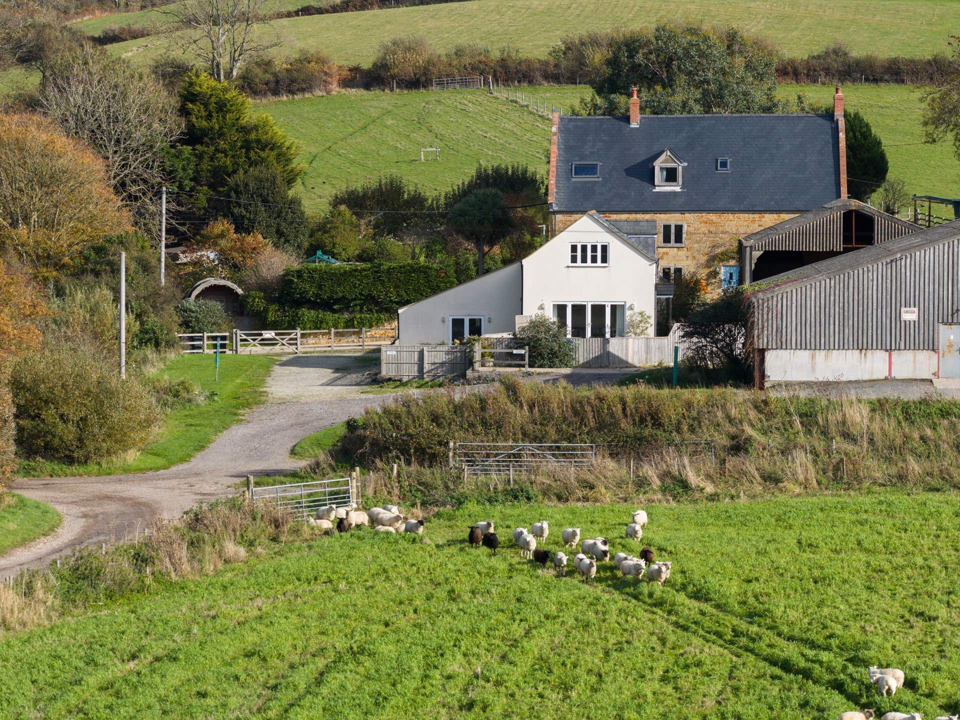 The Dairy is a lovely barn conversion (the white building) within the grounds of Doghouse Farm, right on the Jurassic Coast with a track leading through the fields to the beach.