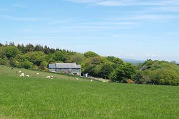 Looking towards Little Largin from the entrance lane.