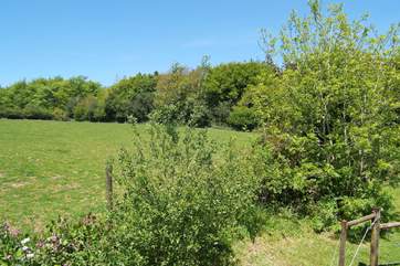 Looking from the deck over the owners' farmland.